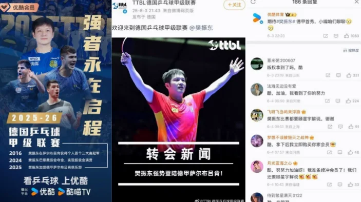 乒乓球德甲直播优缺点全解析