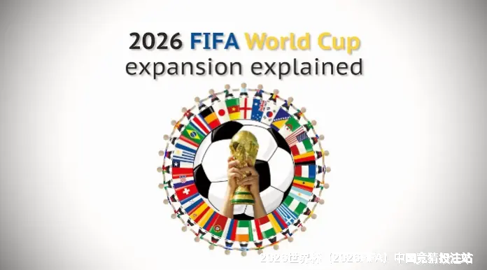 FIFA 中国平台介绍